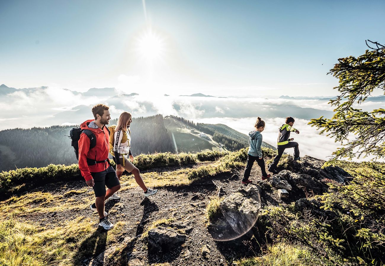 Chalet in Zell am See - Chalet Molly