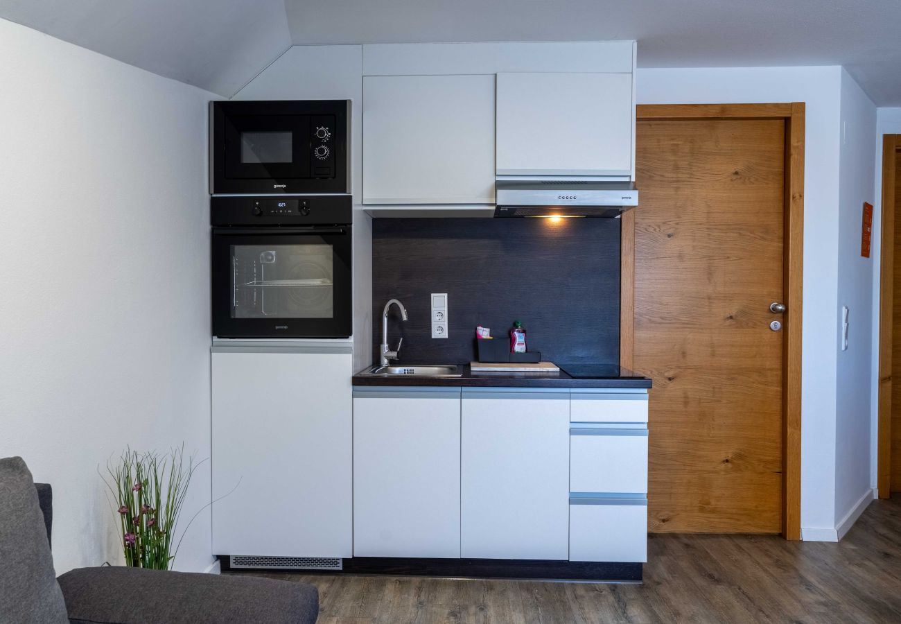 Appartement in Piesendorf - Maiskogelblick - TOP 17