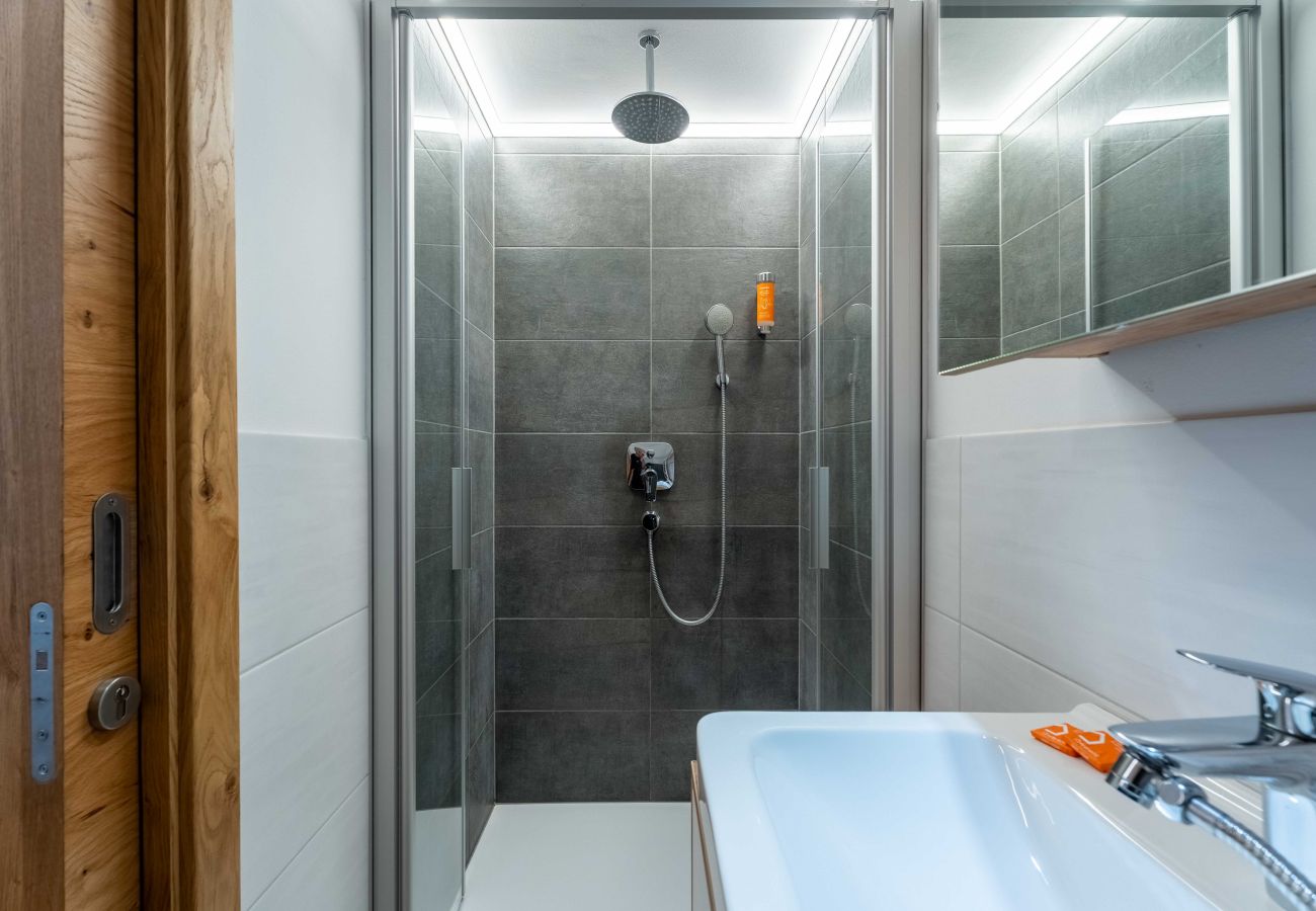 Appartement in Piesendorf - Maiskogelblick - TOP 2