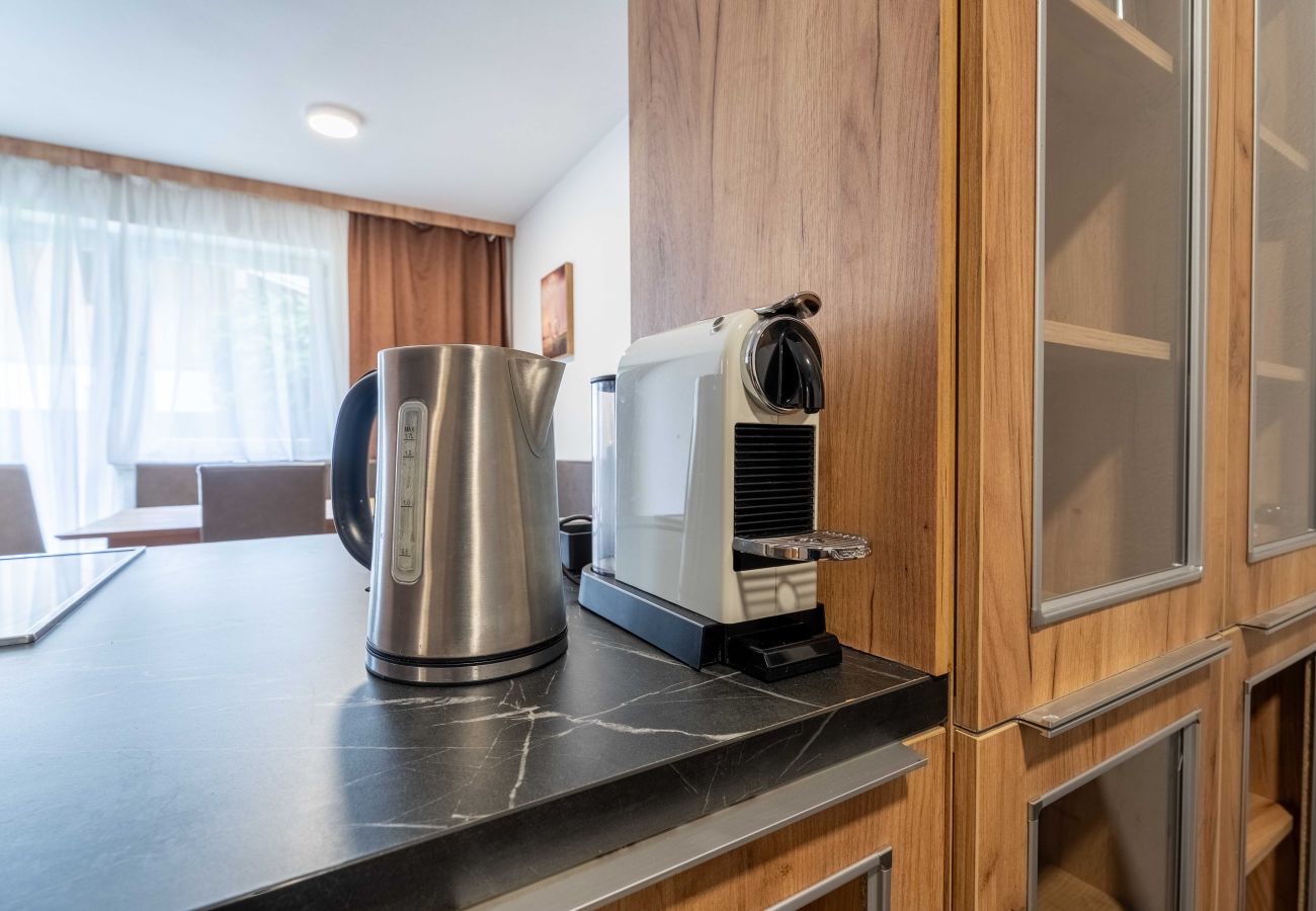 Appartement in Piesendorf - Maiskogelblick - TOP 5